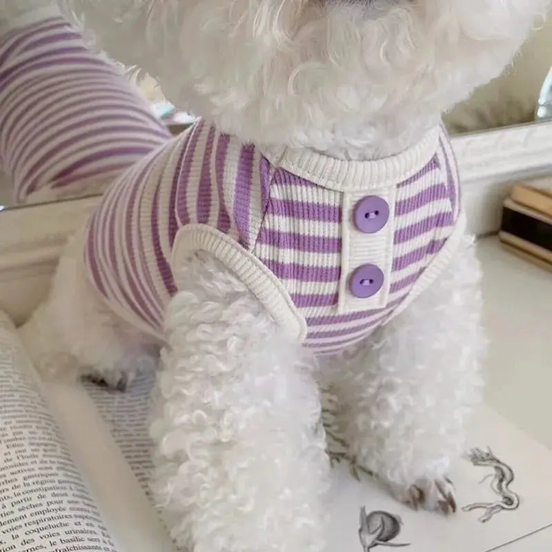 top para mascotas de verano<