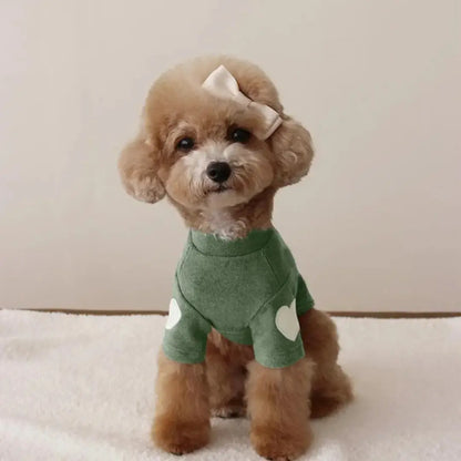 Perro luciendo suéter verde con para mascotas con detalles de corazones en los codos.
