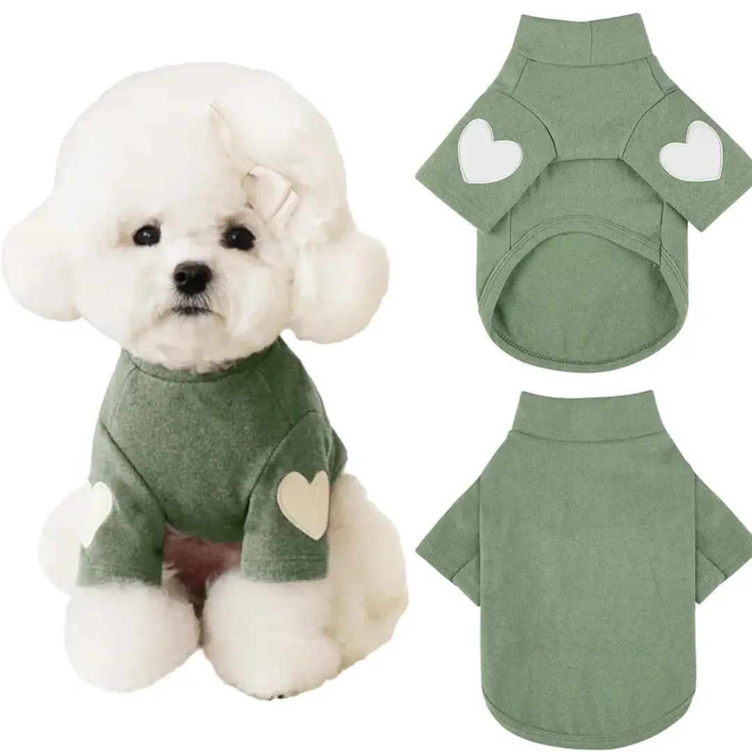 perro suéter corazones verde